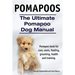 Pomapoos. The Ultimate Pomapoo Dog Manual. Pomapoo book for care, costs, feeding, grooming, health and training.