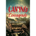El Camino consagrado a la perfección cristiana