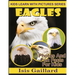 Eagles: Photos and Fun Facts for Kids