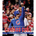 The Chicago Tribune Book of the Chicago Cubs: A Decade-By-Decade History