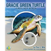 Gracie Green Turtle Finds Her Beach: A Harry Hawksbill Sea Turtle Adventure