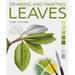 Drawing and Painting Leaves