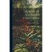 Lichens Of Southern California