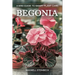 A mini-guide to smart plant care: Begonia