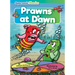 Prawns at Dawn