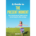 A Guide to The Present Moment