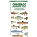 Colorado Freshwater Fishes