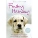 Finding Harmony: The remarkable dog that helped a family through the darkest of times