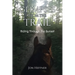 Glimpses from the Trail: Riding Through the Sunset