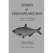 Fishes of Chesapeake Bay