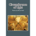 Circumference of Light