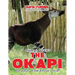 THE OKAPI Do Your Kids Know This?: A Children's Picture Book