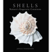 Shells: Nature's Exquisite Creations