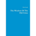 The Wisdom Of The Old Cities