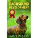 Dachshund Development: A Guide to Raising the Perfect Pup