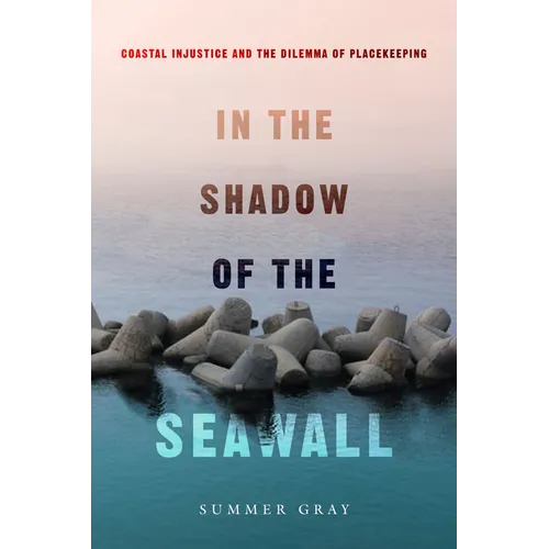 In the Shadow of the Seawall: Coastal Injustice and the Dilemma of Placekeeping