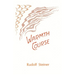 Warmth Course: The Theory of Heat: Second Scientific Lecture Course (Cw 321)