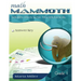 Math Mammoth Grade 1 Skills Review Workbook Answer Key