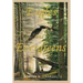 Eagles and Evergreens: A Rural Maine Childhood