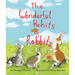 The Wonderful Habits of Rabbits
