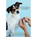 Dog reflexology and acupressure for owners