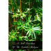 A Full Catechism Of The Catholic Religion