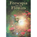 Forscapia into the Flowers