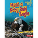 Meet a Baby Bald Eagle