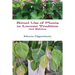 Ritual Use of Plants in Lucum? Tradition 3rd edition
