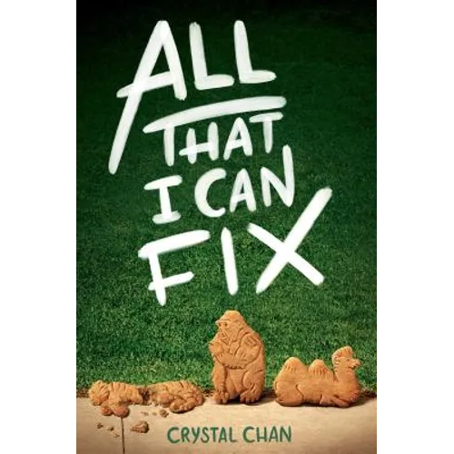 All That I Can Fix