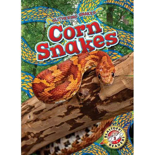 Corn Snakes