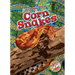 Corn Snakes