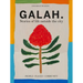 Galah: A Celebration of Life Outside the City