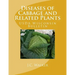 Diseases of Cabbage and Related Plants: USDA Wisconsin Bulletin