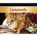 Leopards