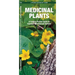 Medicinal Plants: An Introduction to Familiar North American Species