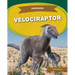 Velociraptor