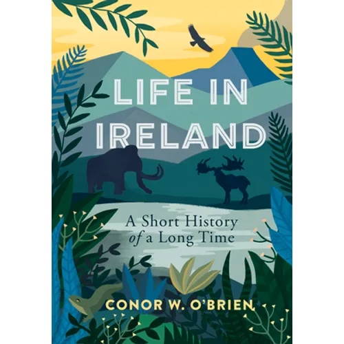 Life in Ireland: A Short History of a Long Time
