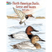 North American Ducks, Geese and Swans Coloring Book