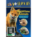 The Nocturnals Nighttime Animals: Awesome Features & Surprising Adaptations: Nonfiction Early Reader