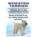 Wheaten Terrier. Wheaten Terrier Dog Complete Owners Manual. Wheaten Terrier book for care, costs, feeding, grooming, health and training.