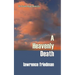 A Heavenly Death