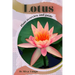 Lotus: Plant overview and guide