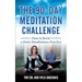 90 Day Meditation Challenge: How To Build A Daily Mindfulness Practice