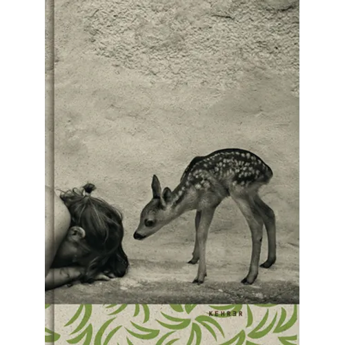 Summer of the Fawn