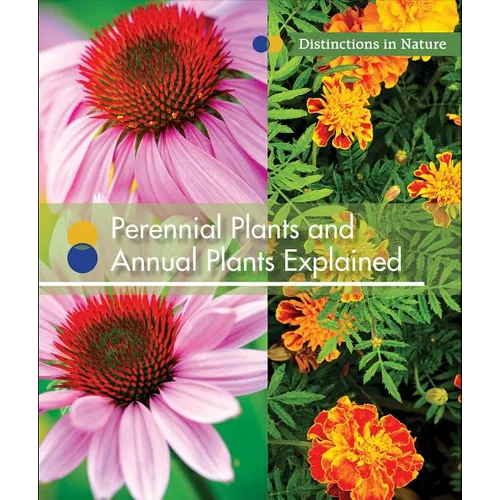 Perennial Plants and Annual Plants Explained