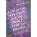 Little Richie A Mother's Journey Through Grief and Miracles: True accounts of grief and miracles, A mom's journey through the unimaginable