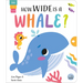 How Wide Is a Whale?