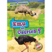 Emu or Ostrich?