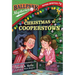 Ballpark Mysteries Super Special #2: Christmas in Cooperstown